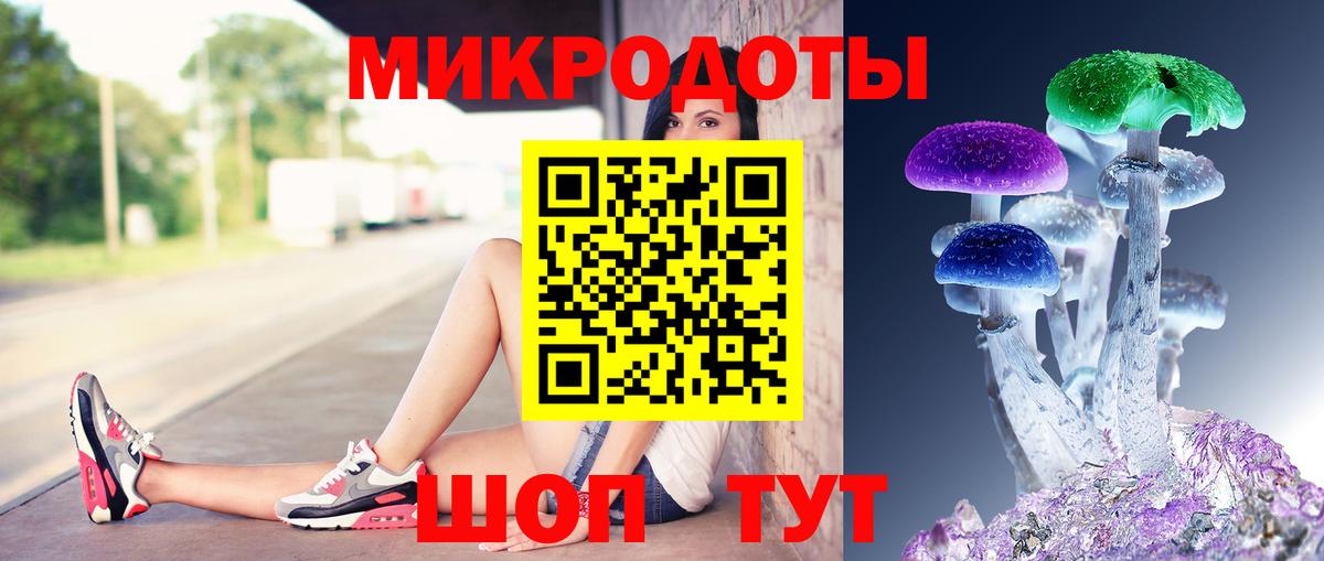 Псилоцибиновые грибы Cubensis Янаул